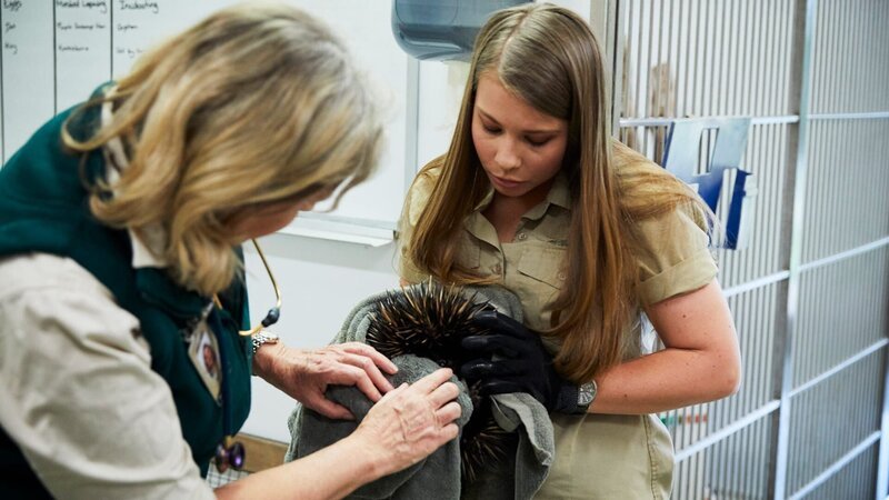 Bindi gives three foot an urchin, who suffers from a skin allergy. – Bild: Animal Planet