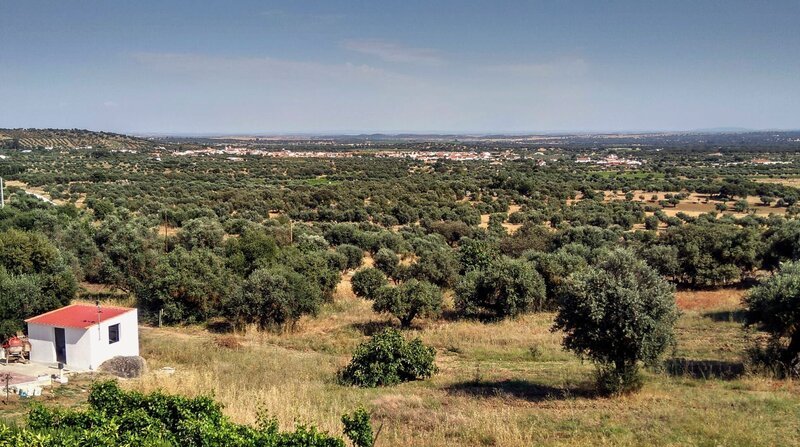 Landschaft mit Korkeichen und Olivenbäume im Alentejo. – Bild: HR/Algarve Tourism Bureau Landschaft mit Korkeichen und Olivenbäume im Alentejo. – Bild: HR/Algarve Tourism Bureau