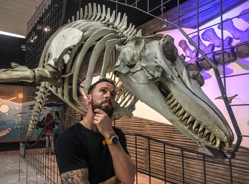 Expedition Senckenberg – Bild: HR/​Robert Marc Lehmann