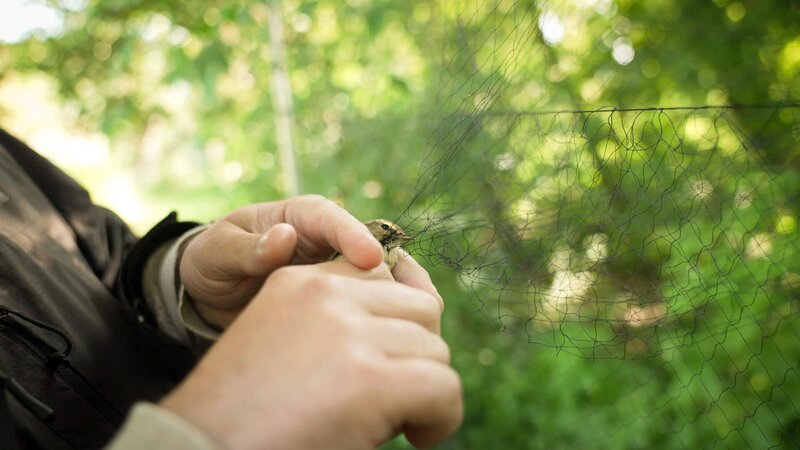 Keimen auf der Spur – Bild: ORF/​Langbein&Partner /​ ZDF und ORF/​Langbein&Partner