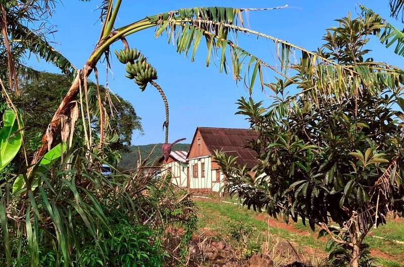 Vor 200 Jahren wanderten Tausende aus dem Hunsrück in den Süden Brasiliens aus – in der Hoffnung auf ein besseres Leben.; SWR HUNSRÜCK UNTER PALMEN – AUF DER SPUR DER AUSWANDERER IN BRASILIEN, am Freitag (01.11.24) um 19:00 Uhr im SWR. Vor 200 Jahren wanderten Tausende aus dem Hunsrück in den Süden Brasiliens aus – in der Hoffnung auf ein besseres Leben. © SWR/​Ulrich Paulus, honorarfrei – Verwendung gemäß der AGB im engen inhaltlichen, redaktionellen Zusammenhang mit genannter SWR-Sendung bei Nennung „Bild: SWR/​Ulrich Paulus“ (S2+). SWR Presse/​Bildkommunikation, Baden-Baden, Tel: 07221/​929⁠–⁠23876, foto@swr.de – Bild: SWR/​Ulrich Paulus