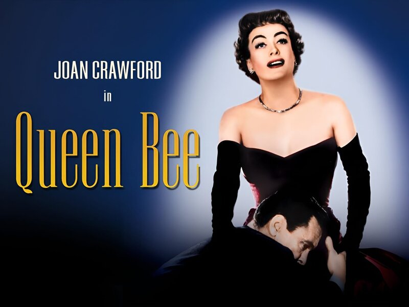 Ehe in Fesseln – Bild: Columbia Pictures Industries, Inc.