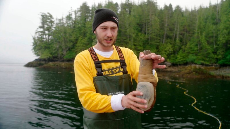 Vancouver Island hat sich zu einem Hauptlieferanten der wilden Elefantenrüsselmuschel entwickelt. Sie weckt wegen ihres Aussehens weltweit Phallus-Assoziationen. Im asiatischen Raum gilt der Verzehr als potenzsteigernd.; NDR Fernsehen MARETV, „Vancouver Island – Eine Insel, ganz Kanada“, am Donnerstag (21.11.24) um 21:00 Uhr. Vancouver Island hat sich zu einem Hauptlieferanten der wilden Elefantenrüsselmuschel entwickelt. Sie weckt wegen ihres Aussehens weltweit Phallus-Assoziationen. Im asiatischen Raum gilt der Verzehr als potenzsteigernd. © NDR/nonfictionplanet/Eddy Zimmermann, honorarfrei – Verwendung gemäß der AGB im engen inhaltlichen, redaktionellen Zusammenhang mit genannter NDR-Sendung bei Nennung „Bild: NDR/nonfictionplanet/Eddy Zimmermann“ (S2). NDR Presse und Information/Fotoredaktion, Tel: 040/4156–2306 oder -2305, pressefoto@ndr.de – Bild: NDR/nonfictionplanet/Eddy Zimmermann Vancouver Island hat sich zu einem Hauptlieferanten der wilden Elefantenrüsselmuschel entwickelt. Sie weckt wegen ihres Aussehens weltweit Phallus-Assoziationen. Im asiatischen Raum gilt der Verzehr als potenzsteigernd.; NDR Fernsehen MARETV, „Vancouver Island – Eine Insel, ganz Kanada“, am Donnerstag (21.11.24) um 21:00 Uhr. Vancouver Island hat sich zu einem Hauptlieferanten der wilden Elefantenrüsselmuschel entwickelt. Sie weckt wegen ihres Aussehens weltweit Phallus-Assoziationen. Im asiatischen Raum gilt der Verzehr als potenzsteigernd. © NDR/nonfictionplanet/Eddy Zimmermann, honorarfrei – Verwendung gemäß der AGB im engen inhaltlichen, redaktionellen Zusammenhang mit genannter NDR-Sendung bei Nennung „Bild: NDR/nonfictionplanet/Eddy Zimmermann“ (S2). NDR Presse und Information/Fotoredaktion, Tel: 040/4156–2306 oder -2305, pressefoto@ndr.de – Bild: NDR/nonfictionplanet/Eddy Zimmermann