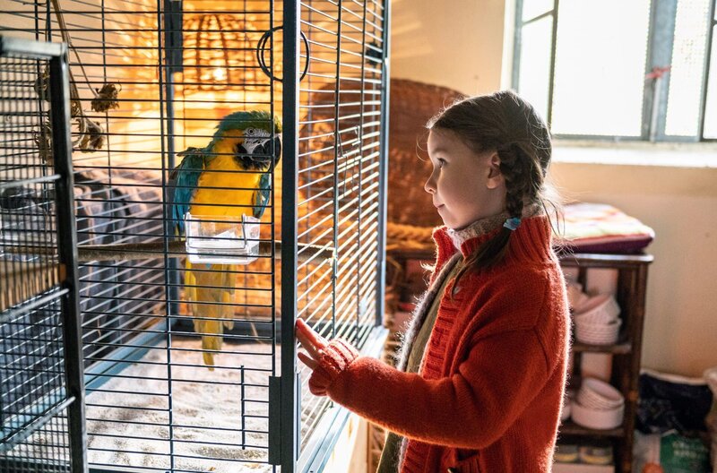 Kommt ein Vogel geflogen – Bild: SWR/​Patricia Neligan