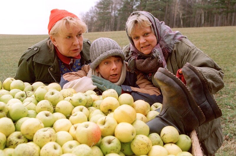 Black Flamingos - Sie lieben euch zu Tode – Bild: ORF