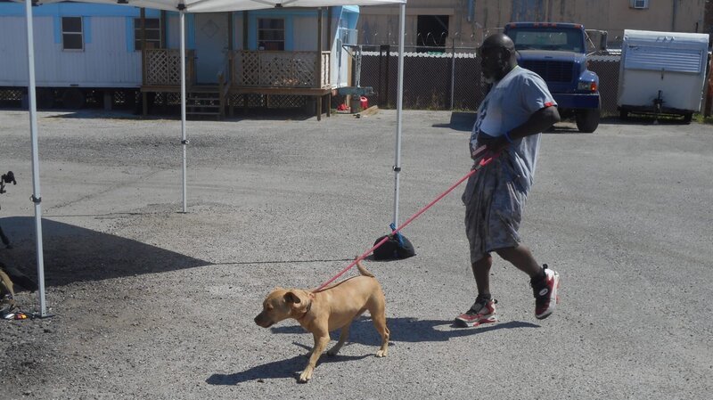 Earl walks the dog away from a trailer the during meet and greet. – Bild: TLC