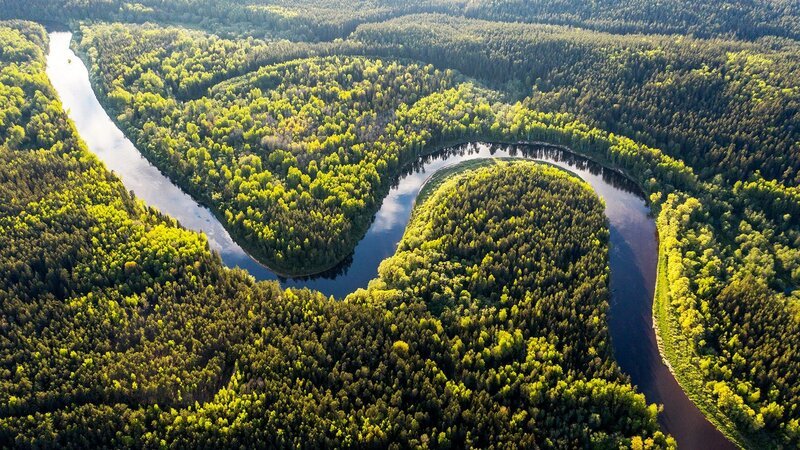Der Amazonas-Regenwald befindet sich im Einzugsgebiet des Amazonas-Flusses und erstreckt sich über neun Staaten Südamerikas. – Bild: Weather Group Television/​WeltN24 GmbH