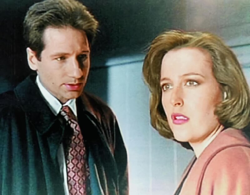 Mulder (David Duchovny, l.) und Scully (Gillian Anderson, r.) – Bild: ORF (FS1/​FS2)