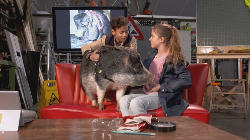Jamey und Lina haben ein Schwein zu Besuch. – Bild: „ …