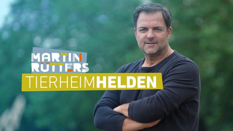 Das Logo zu „Martin Rütters Tierheimhelden“. – Bild: RTL /​ Martin Rütters Tierheimhelden