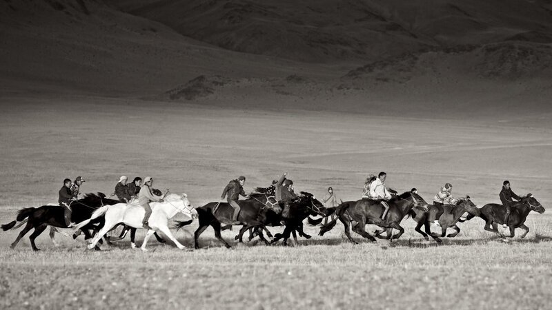 Pferderennen. – Bild: Gernot Stadler, Gernot Gleiss