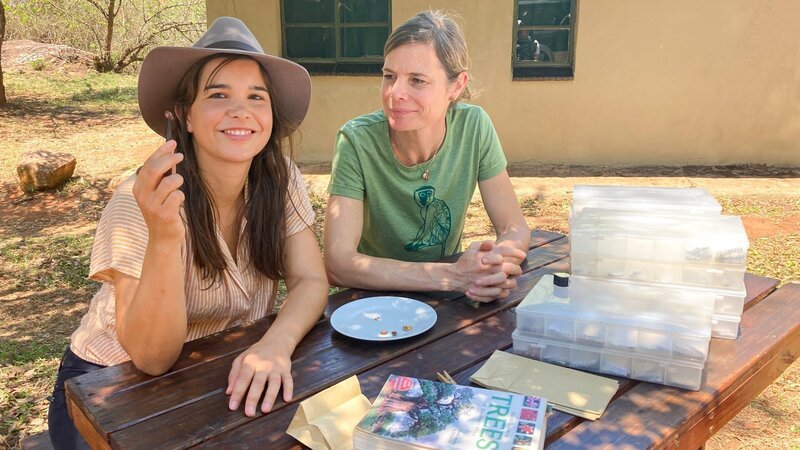Anna (links) und Biologin Birthe Linden untersuchen Samen aus dem Kot von Weißkehlmeerkatzen. Hier hat Anna den Kern einer wilden Olive entdeckt. – Bild: BR/​Text und Bild Medienproduktion GmbH/​Ben Wolter