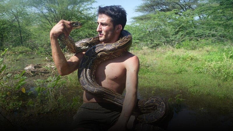 Andrew Ucles – Bild: Curiosity Channel