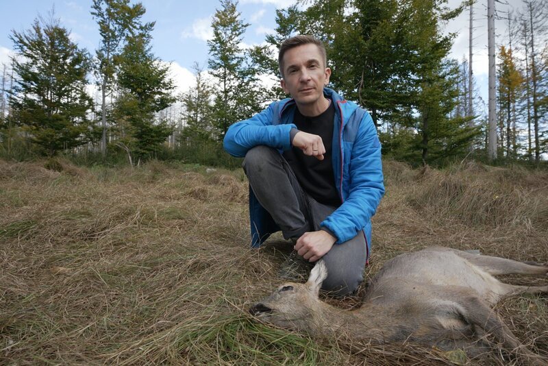 Wie helfen tote Tiere im Wald, die Natur zu schützen? PUR+-Moderator Eric Mayer legt mit zwei Kadaverökologen im bayerischen Wald ein totes Reh aus und beobachtet, was dann passiert. Welche großen und kleinen Tiere kommen zum Fressen vorbei? – Bild: ZDF/​Eva Werdich