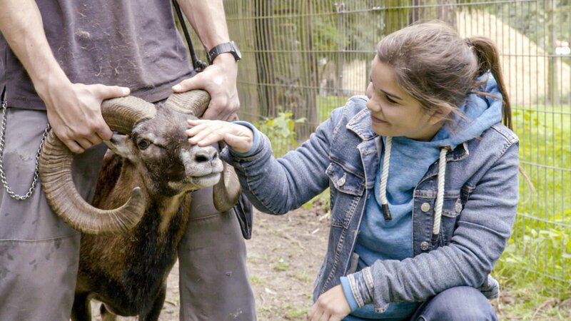 Im Wildpark „Schwarze Berge“ kann Anna einem Mufflon ganz nahekommen. – Bild: BR/​Text und Bild Medienproduktion GmbH & Co. KG/​Uwe Kielhorn