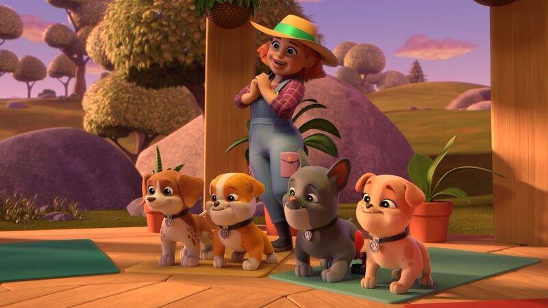 v.li.: Wheeler, Rubble, Farmer Zoe, Charger, Mix – Bild: Paramount