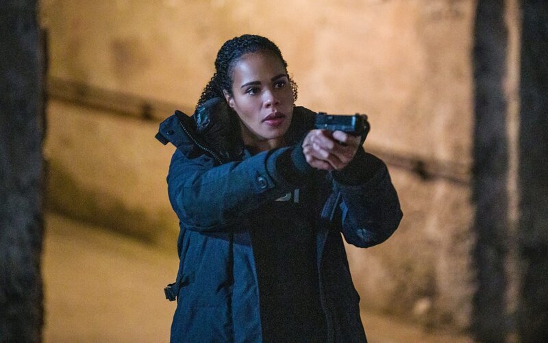 Special Agent Sheryll Barnes (Roxy Sternberg) – Bild: CBS Broadcasting Inc.