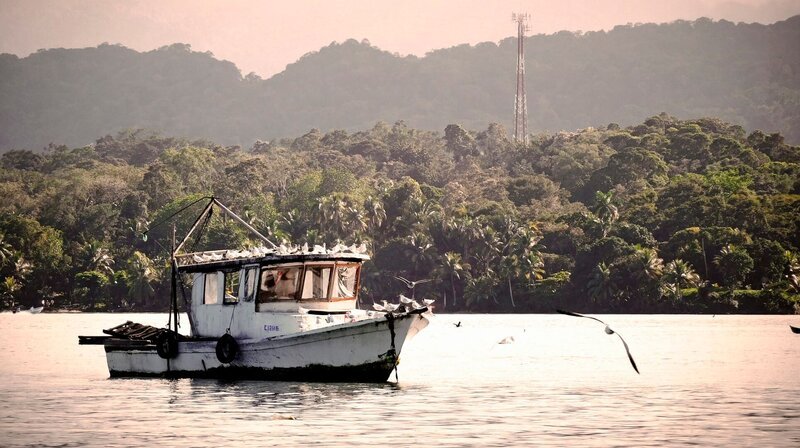 Ein Motorboot auf dem Rio Dulce in Guatemala. – Bild: BR/​David Rudolph