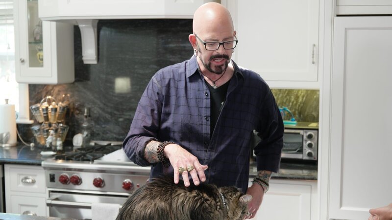 Jackson pets a cat. – Bild: Animal Planet