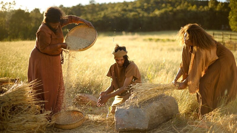 Das Pflanzen des ersten Samens vor über 10.000 Jahren war der erste Schritt zur Zivilisation und zur Entstehung der modernen Landwirtschaft. – Bild: History Channel USA /​ WeltN24 GmbH