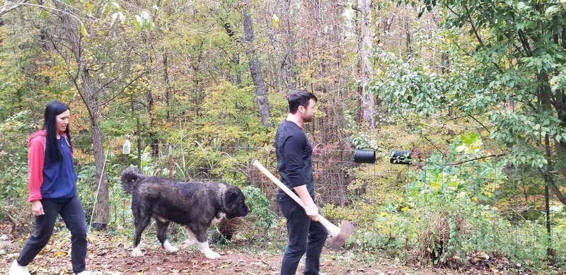 VARYA and GEOFFREY in woods. – Bild: TLC /​ Discovery Communications, LLC