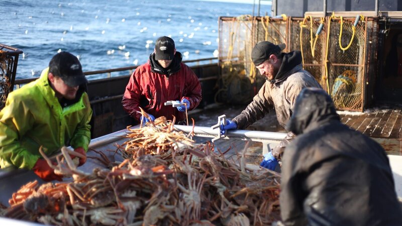 Bild: Discovery Communications/​Steven Wright