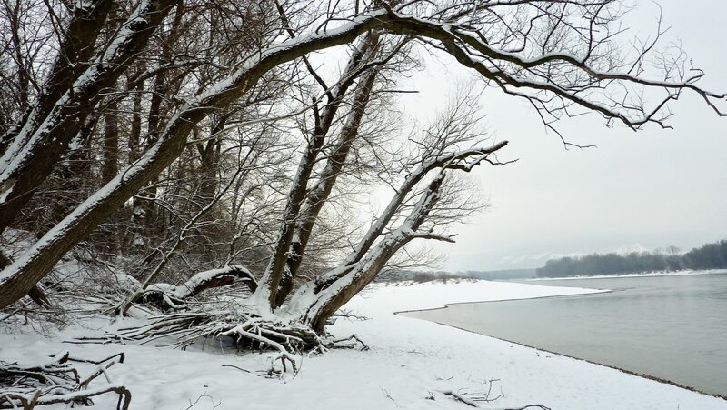 Donau im Winter. – Bild: 3sat
