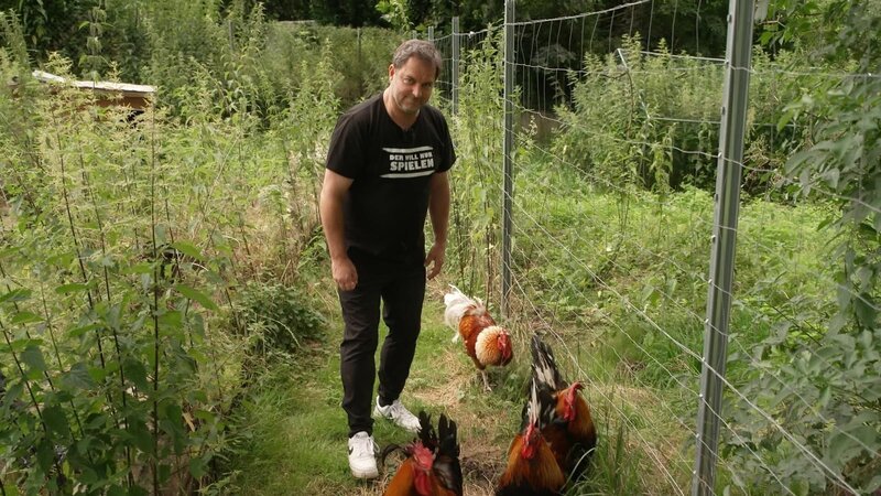 Tierheim Stuttgart: Martin Rütter – Bild: RTL