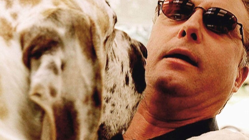 Ein zärtlicher Überfall: Gil Grissom (William Petersen) bezweifelt, dass diese Dogge einen Menschen getötet haben soll. – Bild: MG RTL D