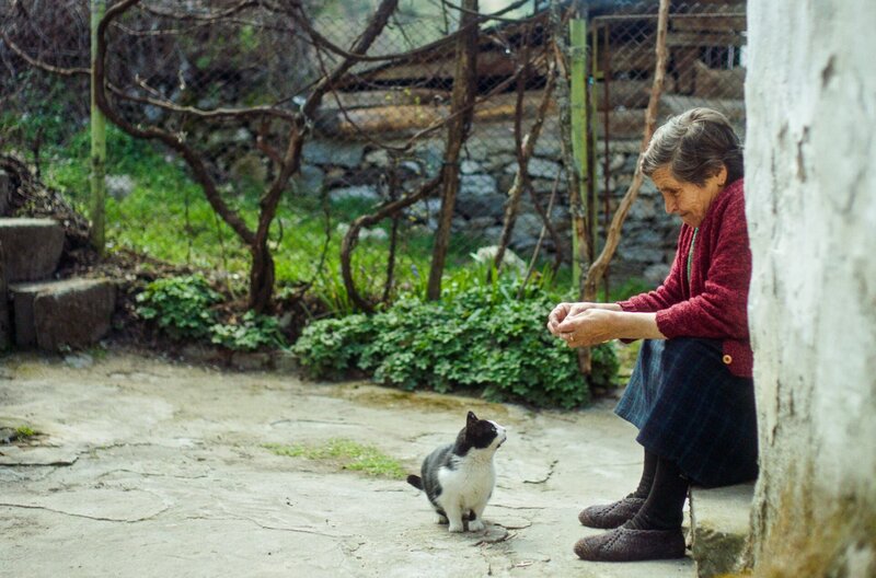 Bulgarien - Das Dorf der magischen Tiere – Bild: Constanze Schmitt