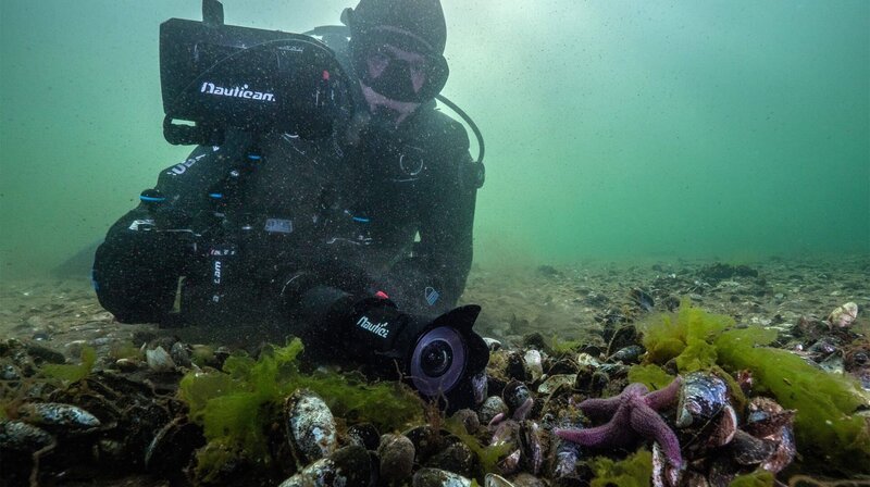 Unsere Meere – Unbekannte Ostsee (Folge 4) Manuel Spescha filmt Miesmuscheln mit einer speziellen Kameraausrüstung. – Bild: NDR/​Martina Andrés/​Doclights Naturfilm