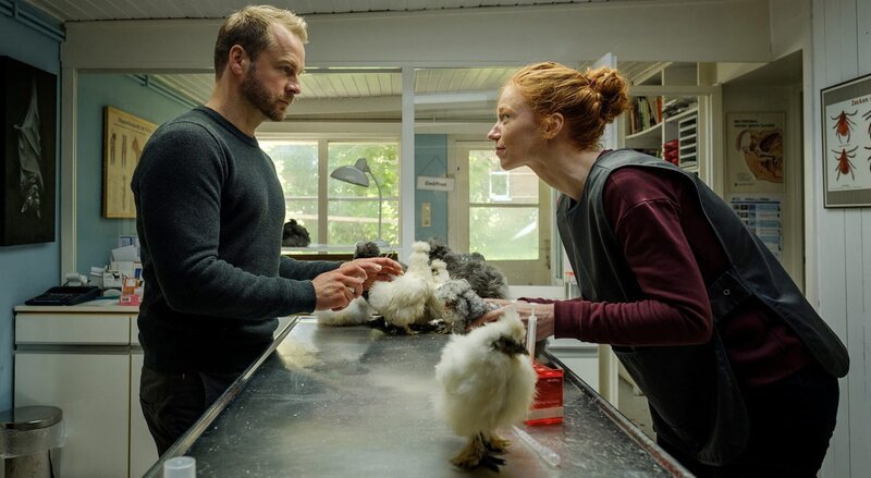 Tierarzt Hauke (Hinnerk Schönemann) unterstützt Bald-Tierärztin Jule (Marleen Lohse). – Bild: Degeto Film GmbH