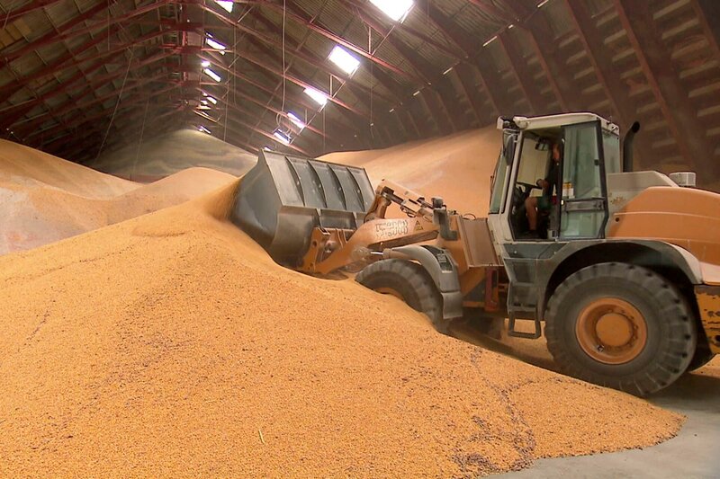 Der Mais-Wahn – Bild: SWR