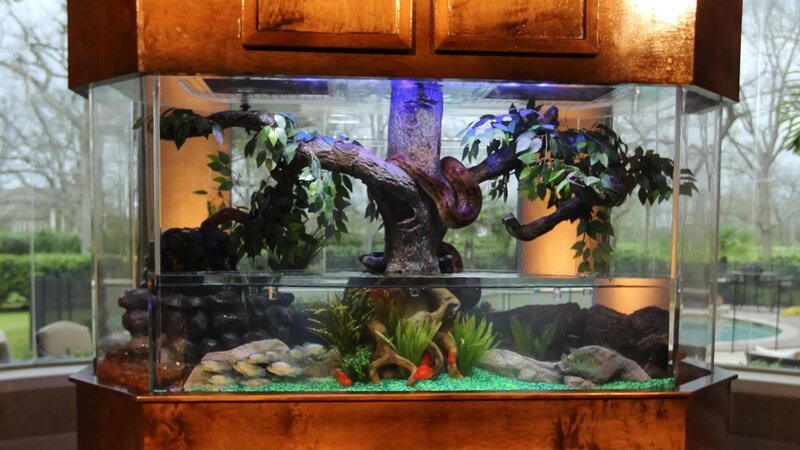 Wide angle shot of finsihed tank in house. – Bild: Discovery Communications.