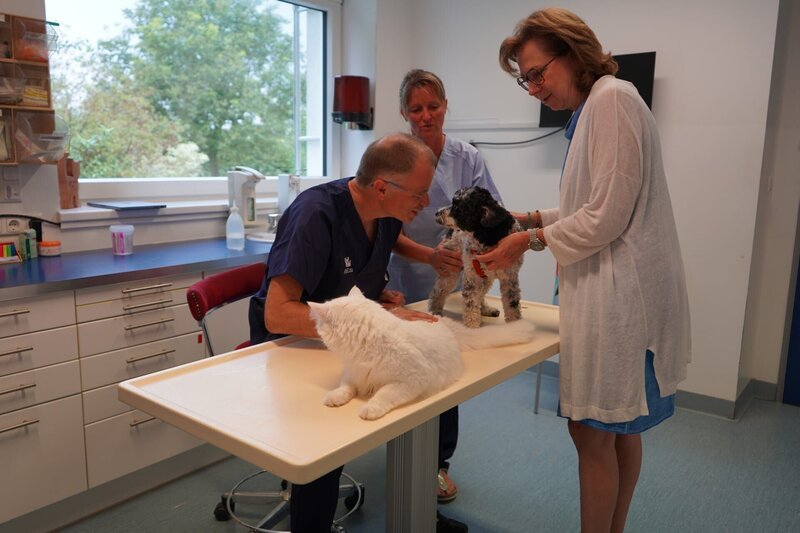 Klinikkatze Watte – Bild: ServusTV /​ Sonja Eichholzer /​ Degn Film
