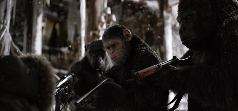 Terry NOTARY (Rocket), Andy SERKIS (Caesar/​César), Michael ADAMTHWAITE (Luca) Réalisation: Matt REEVES – Bild: PLURIMEDIA (Twentieth Century Fox France /​ Chernin Entertainment)