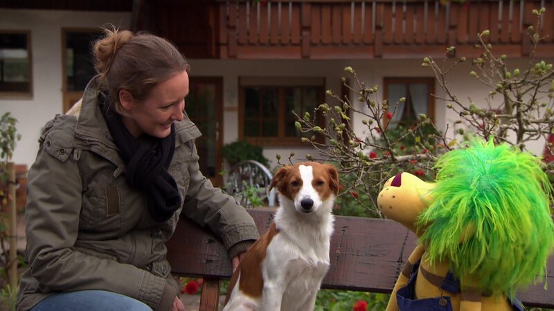 Davina, Hofhund Ilka und OLIÂ – Bild: SWR