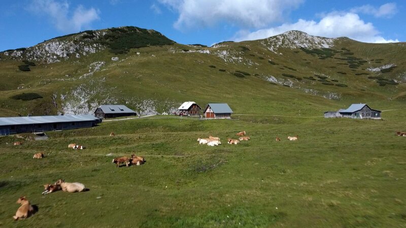 Wenn der Herbst durchs Mürztal zieht – Bild: Michael Weinmann /​ ORF