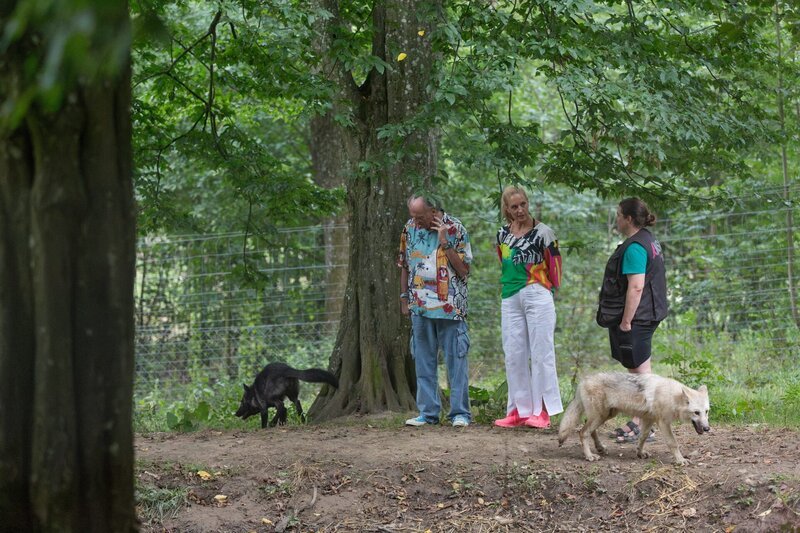 Wolfgang Fierek, Marianne Heberlein und Lilian Klebow (m.) mit jungen Wölfen während Servus TV’s „Roadshow. Eine Reise ins Unbekannte“ im Wolfsforschungszentrum der Veterinärmedizinischen Universität Wien im Wildpark Ernstbrunn. – Bild: ServusTV/​PANAREA Studios/​Roland Unger