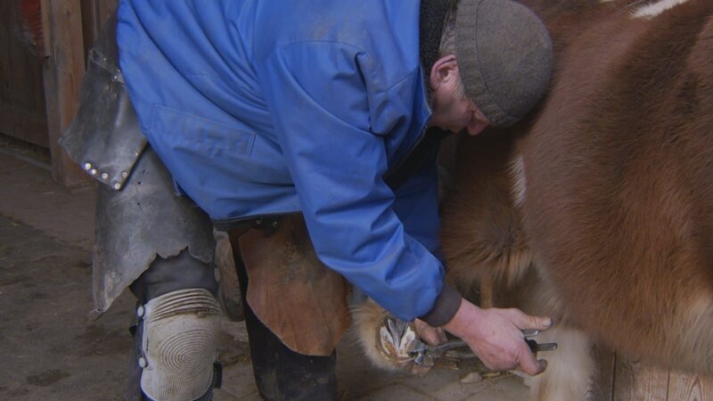 Thomas bei der Hufpflege eines Ponys. – Bild: Markus Schindler /​ BR