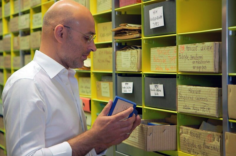 Heilende Drogen – Bild: Ursula Wernly-Ferguy