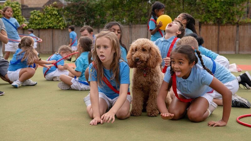 Evi und Anaya machen mit Wuffel „Hundesport“. – Bild: ZDF/​Darrall MacQueen
