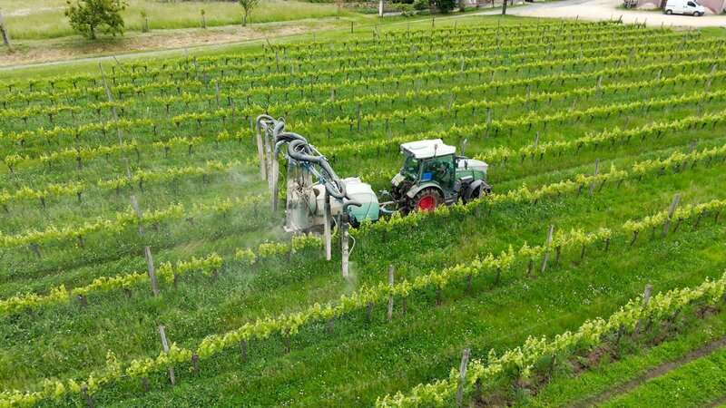 Biokrise - Masse statt Klasse? – Bild: STP PRODUCTIONS