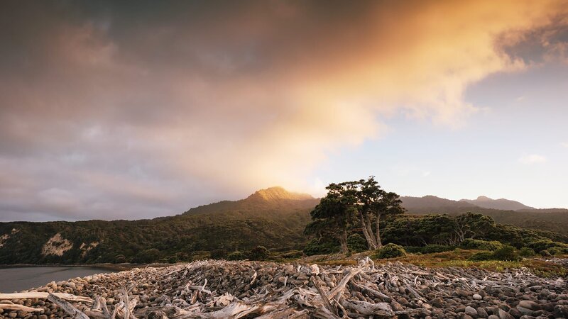Little Barrier Island ist menschenleer und ein Refugium für bedrohte Tiere. – Bild: Scott Mouat
