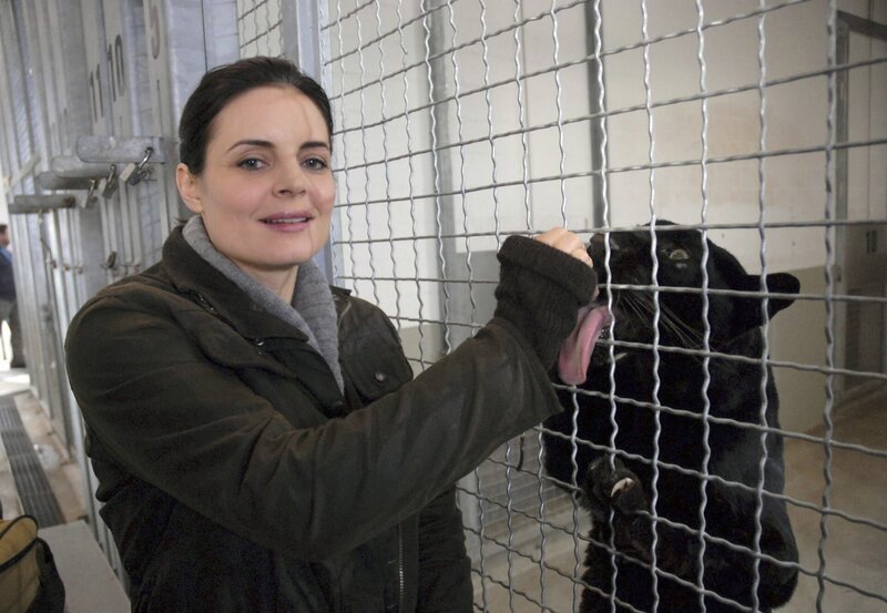 Dr. Susanne Mertens (Elisabeth Lanz) lässt den schwarzen Panther an ihrer Hand lecken – das Gitter des Käfigs trennt sie von der Raubkatze. – Bild: BR/​ARD/​Christa Köfer