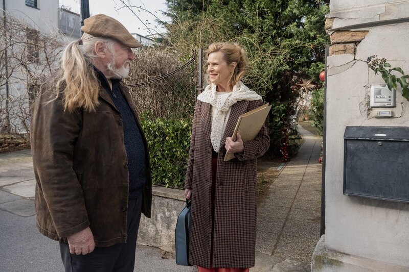 Zitronenherzen – Bild: Stefanie Leo