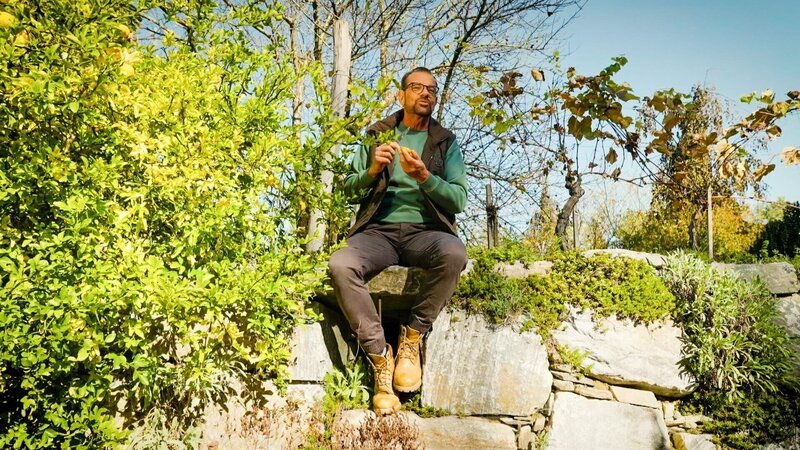 Karl Ploberger präsentiert einen Garten inmitten der malerischen Weinberge der Südsteiermark und gibt wertvolle Tipps zur Anlage eines Totholzhaufens. Zudem beantwortet er die „Gartenfrage der Woche“. – Bild: ORF/​Talk TV
