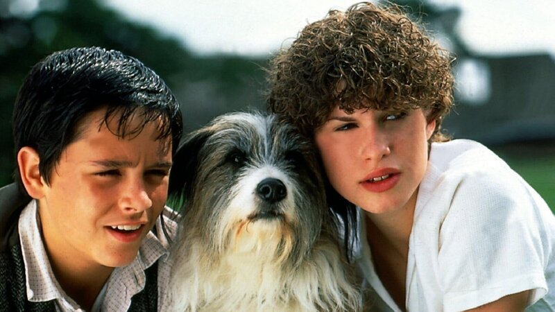 George (Jemima Rooper) und Timmy treffen ihren Freund Sniffer (Lee Turnbull) bei einem Zeltausflug wieder, bei dem sie auf der Suche nach entführten Wissenschaftlern sind – diesmal ohne Julian, da der sich sein Bein gebrochen hat. – Bild: ZDF/​Mike Alsford