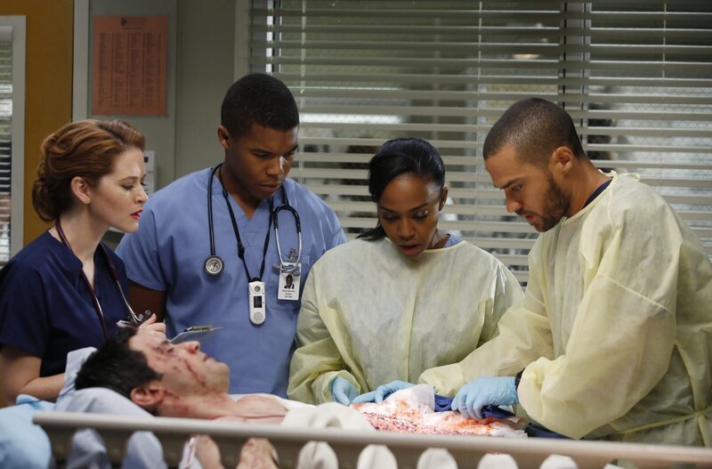 April (Sarah Drew, l.), Shane (Gaius Charles, 2.v.l.), Stephanie (Jerrika Hinton, 2.v.r.) und Jackson (Jesse Williams, r.) kümmern sich um Stuart Loeb (Richard Kahan, vorne), der bei einem Verkehrsunfall am Arm schwer verletzt wurde … – Bild: American Broadcasting Companies, Inc.