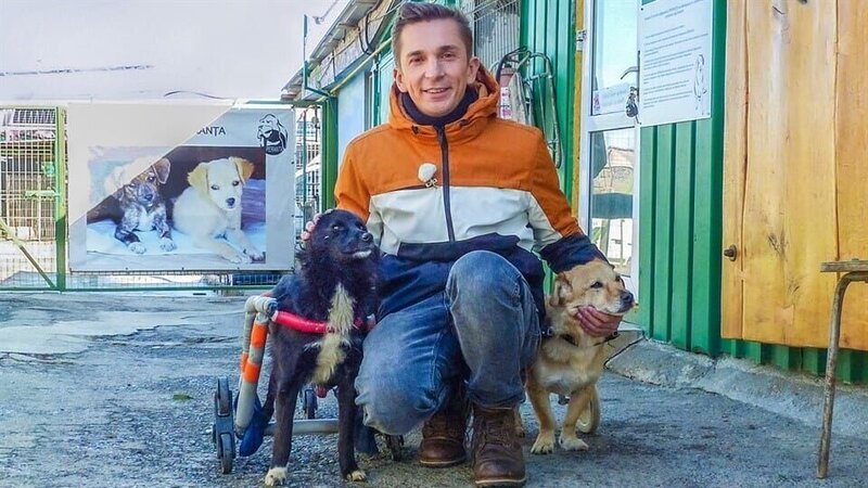 Eric rettet die Straßenhunde – Bild: ZDF
